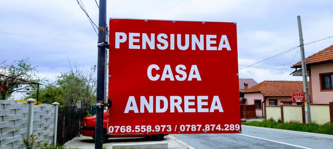 Pensiunea Casa Andreea Novaci-Străini 外观 照片