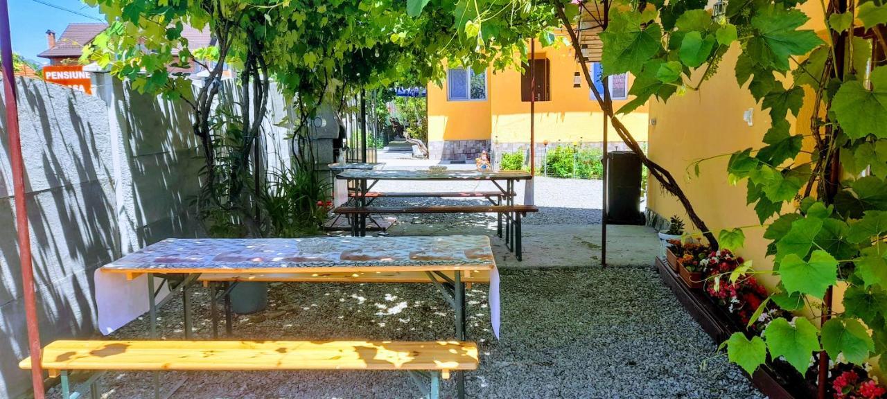 Pensiunea Casa Andreea Novaci-Străini 外观 照片