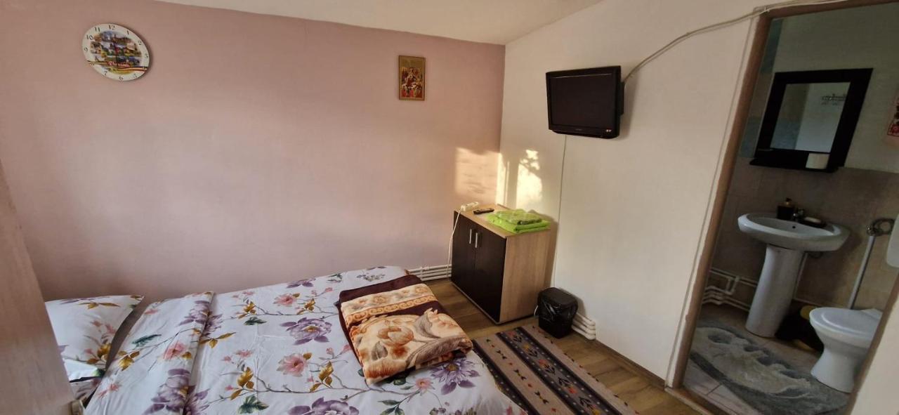 Pensiunea Casa Andreea Novaci-Străini 外观 照片
