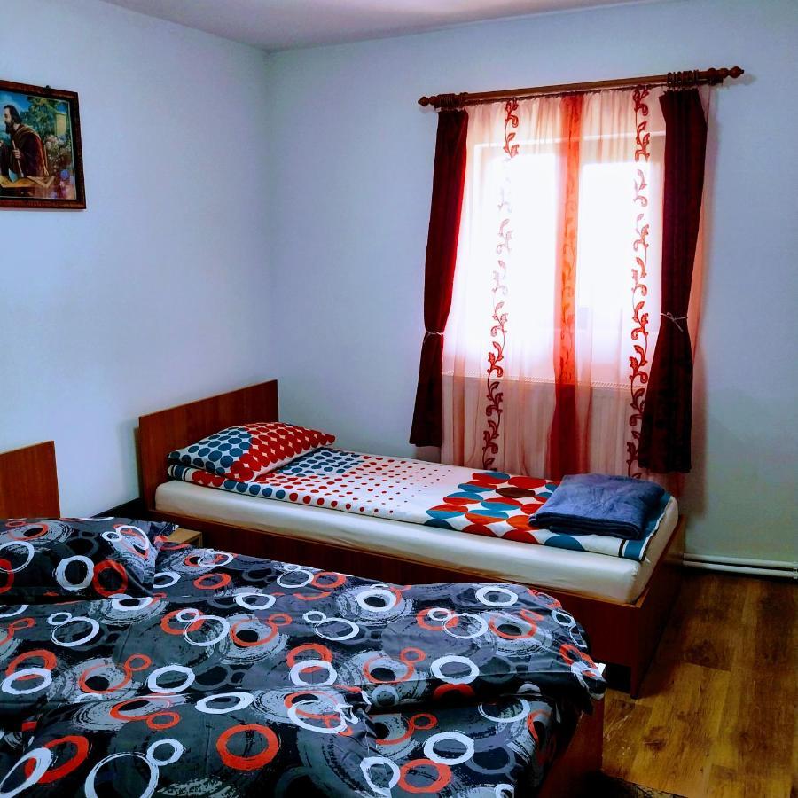 Pensiunea Casa Andreea Novaci-Străini 外观 照片